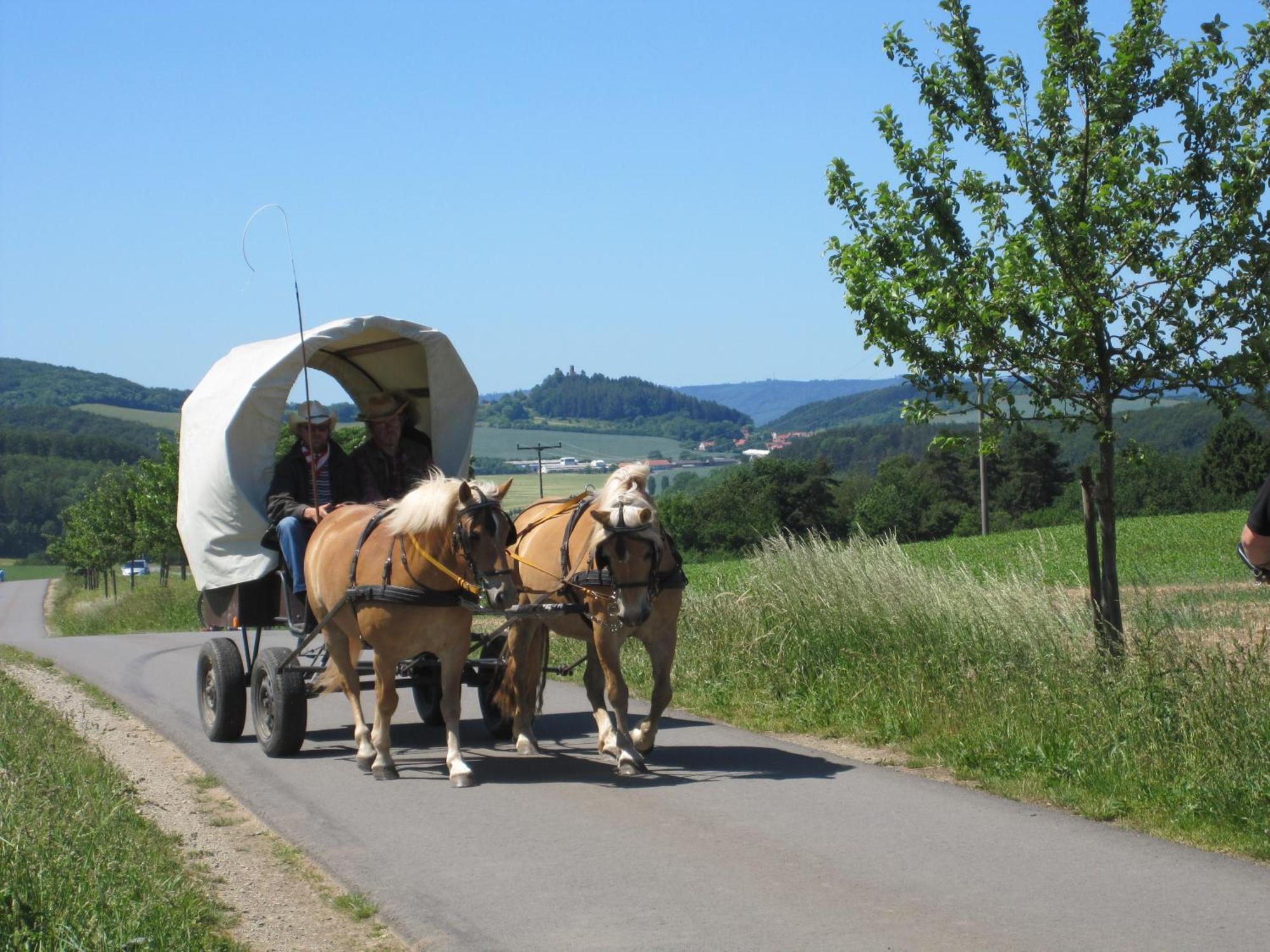 Heiligenstadt Urlaubspension 'Hohes Rott' Und Apartmenthaus מראה חיצוני תמונה