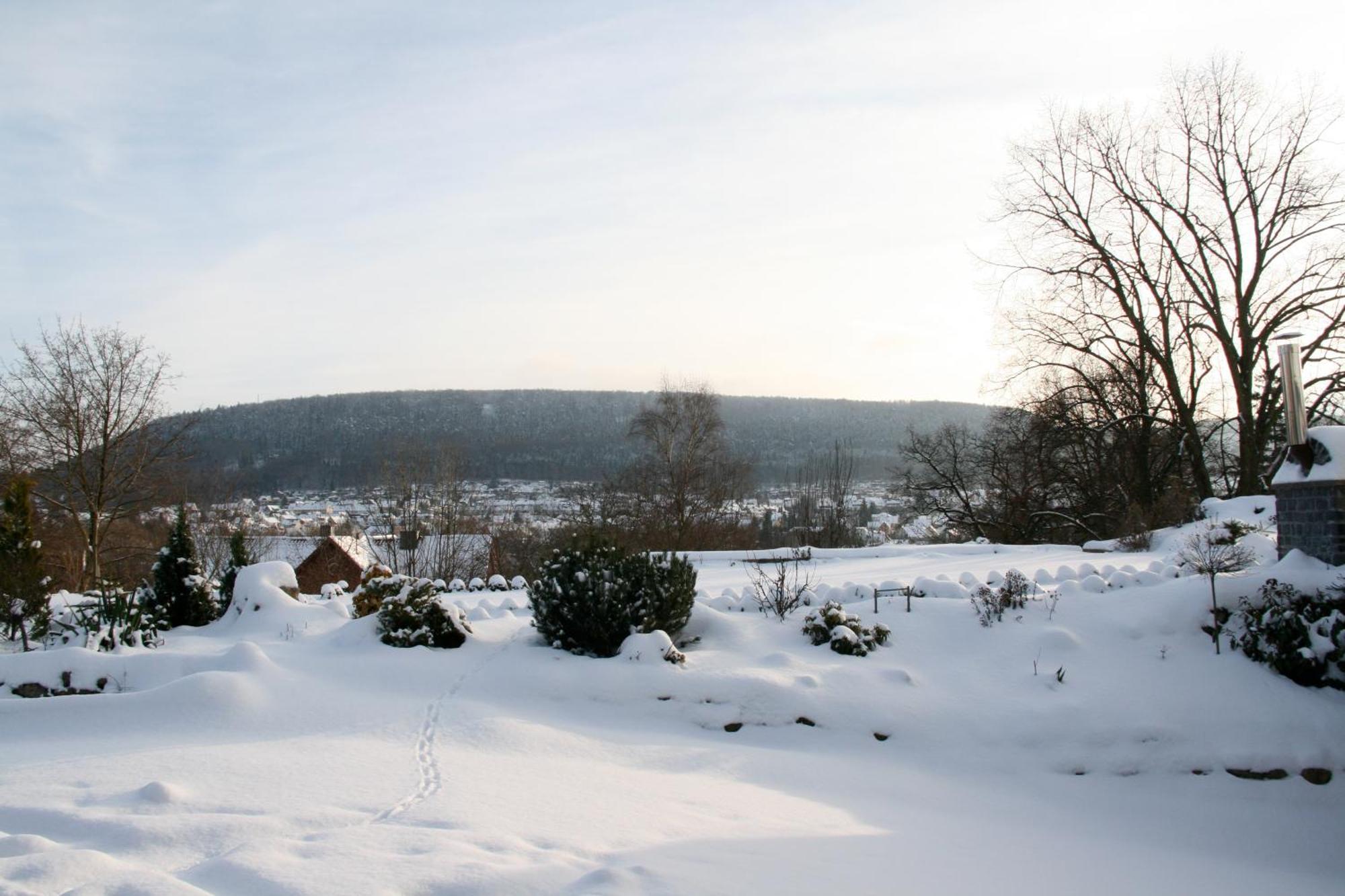 Heiligenstadt Urlaubspension 'Hohes Rott' Und Apartmenthaus מראה חיצוני תמונה