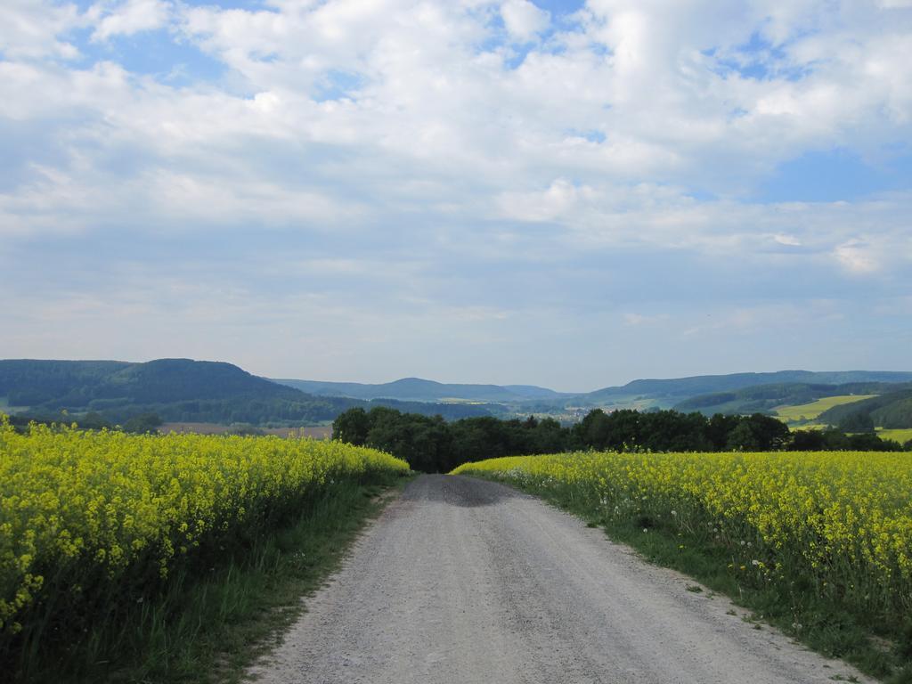 Heiligenstadt Urlaubspension 'Hohes Rott' Und Apartmenthaus מראה חיצוני תמונה